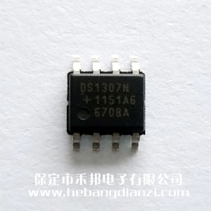 DS1307ZN+ 进口